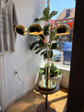 Mid Century Modern Brass Table Lamp